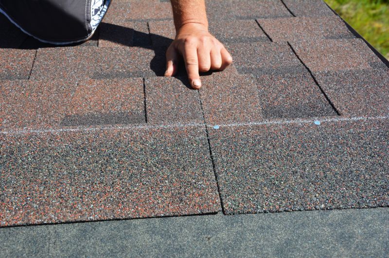 Asphalt Shingles Cleaning detail