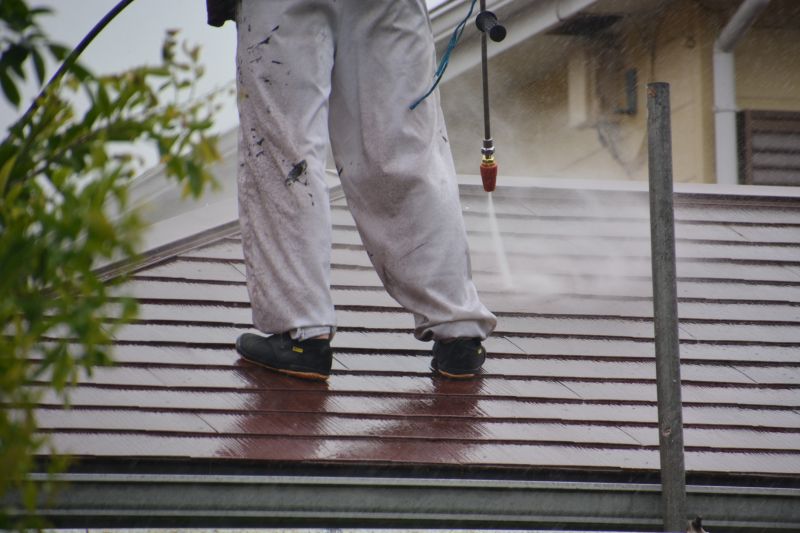 Metal Roof Cleaning detail