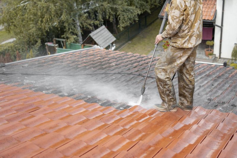 Roof Stain Removal detail